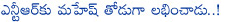 mahesh babu,jr ntr,no hit movie to jr ntr and mahesh babu this time,ramayya vastavayya,rabhasa,aagadu,1 nenokkadine,puri jagannadh,mahesh babu and jr ntr wait for puri jagannadh,vv vinayak